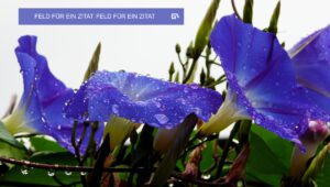 Haben Sie etwas beizutragen?